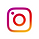 INS